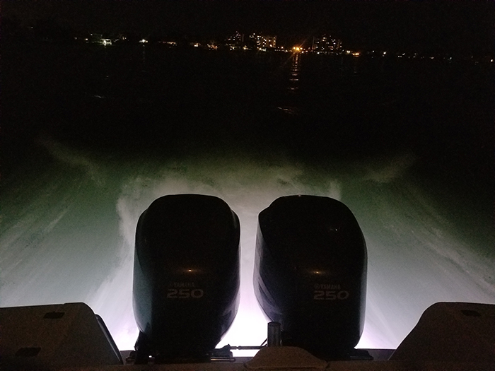 Shadow Caster Marine Lighting Boat Lighting LED lights, SCM flex strips, courtesy lights, down lights, SCR