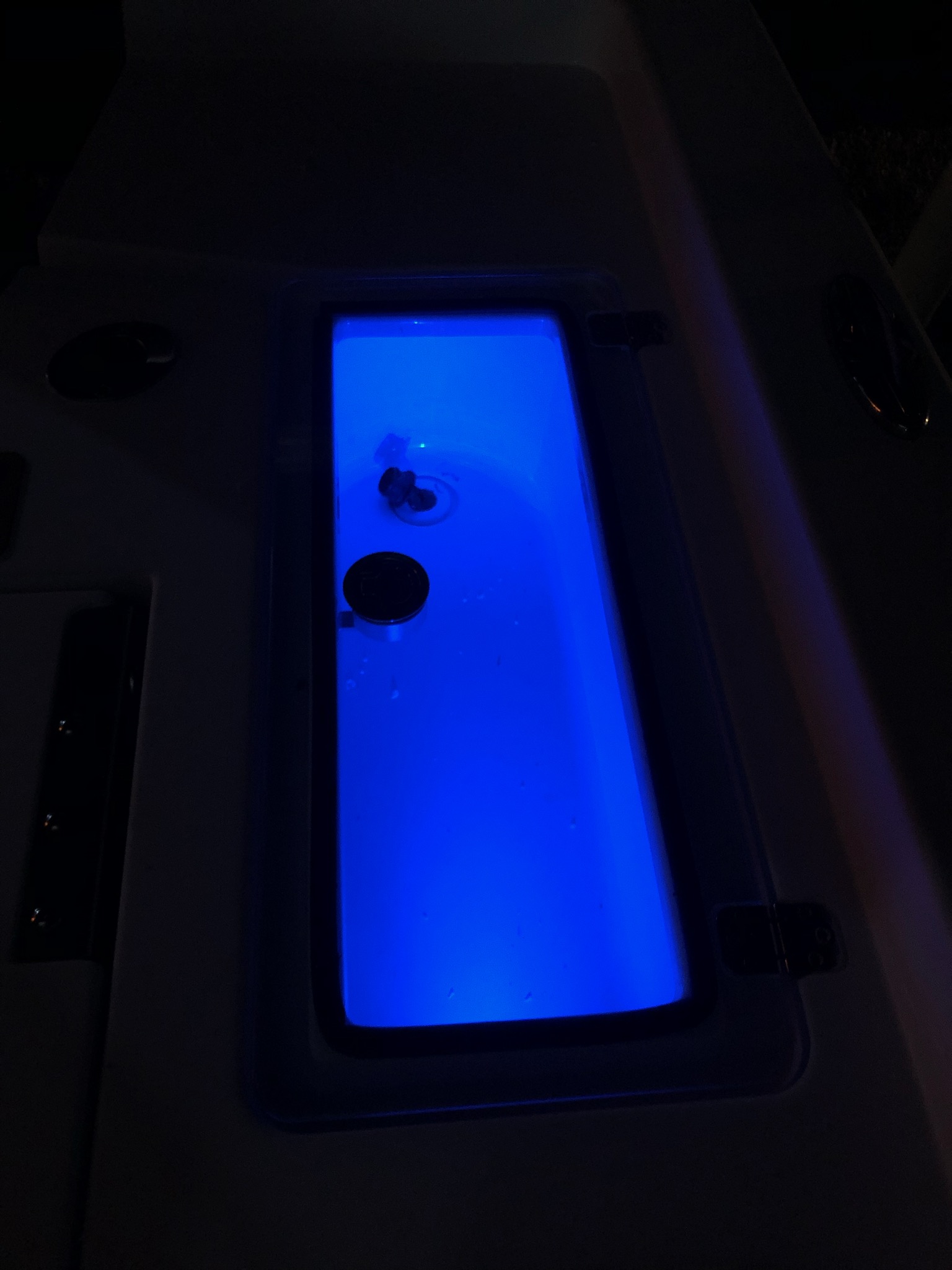 Sportsman 227 Master livewell lid lit up at night