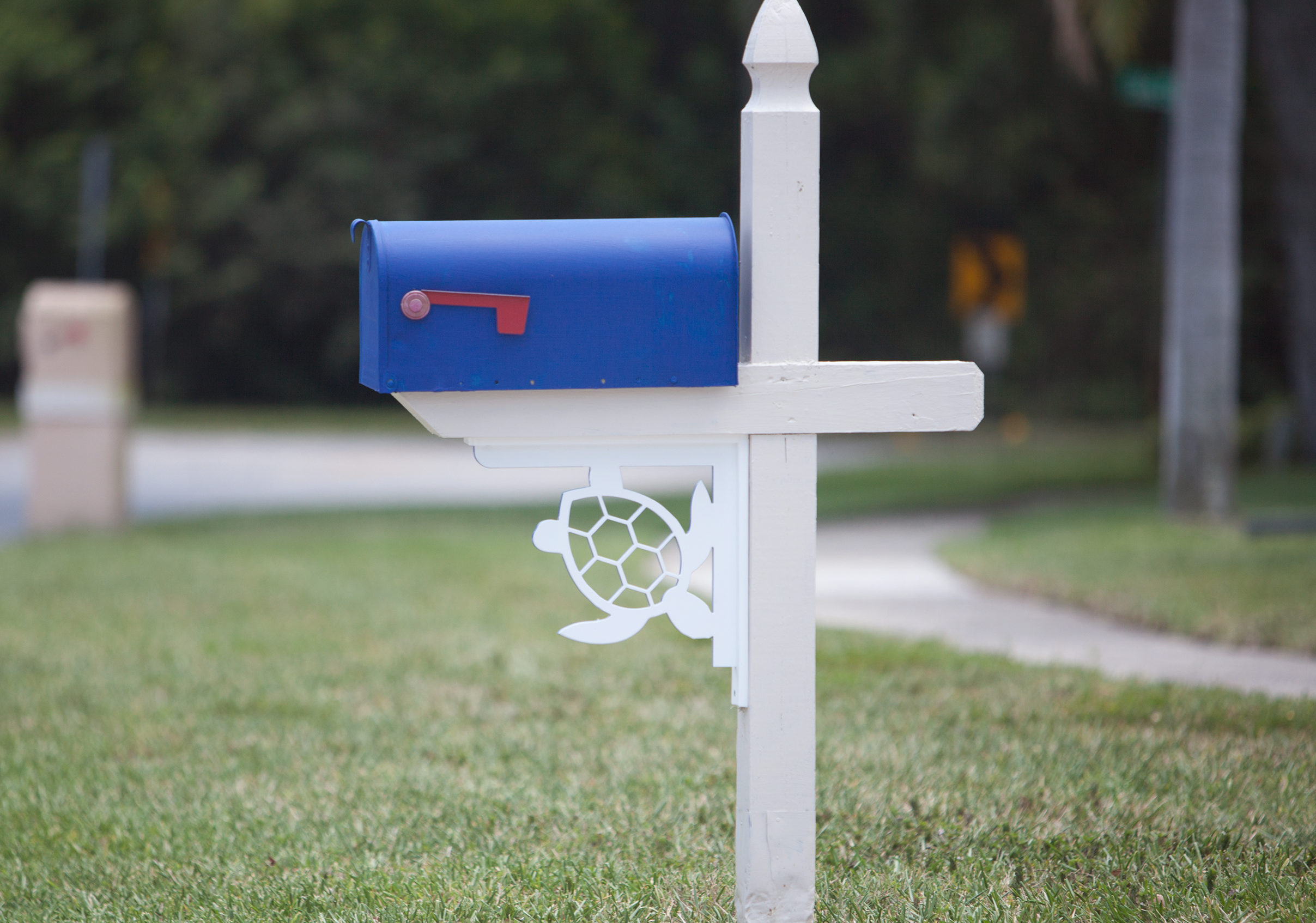 sea turtle corbel on mailbox